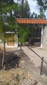 a tree is tied up in front of a building at MAy Loviou in Namora