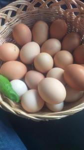 a basket full of eggs and a green pepper at MAy Loviou in Namora
