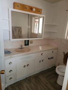 a bathroom with a sink and a toilet at House on Avenue of the Giants, Miranda, California in Miranda