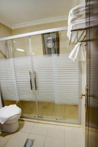 a bathroom with a shower and a toilet at AQABA COAST HOTEL in Aqaba