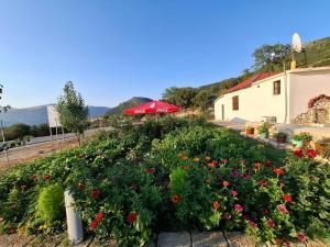 a garden of flowers in front of a building at Vatra Traditional Guesthouse in Lekdush