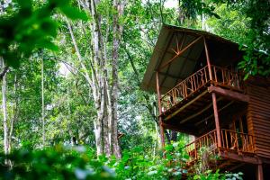 a tree house in the middle of the forest at Ella Ecolodge in Ella