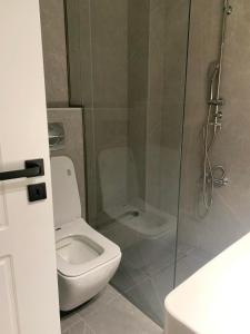a bathroom with a toilet and a glass shower at Adeste to Ioannina Apartment in Ioannina