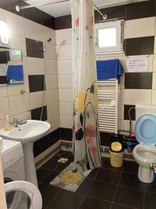 a small bathroom with a sink and a toilet at Cabana lui Banică in Sîntioana