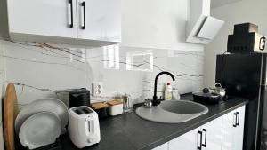 encimera con fregadero y nevera en Lemberg Apart, en Slavske