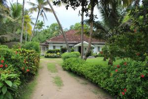 a house with palm trees and a dirt road at Sun and Surf Rest in Ahangama