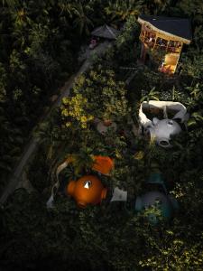 Zahrada ubytování Jungle KingDomes Guest House