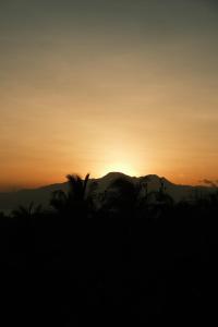 a sunset over a mountain with palm trees in the foreground at Jungle KingDomes Guest House in Siquijor