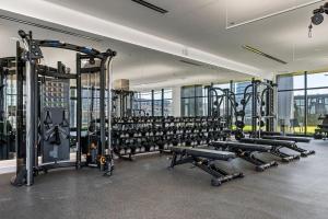 un gimnasio con filas de cintas de correr y máquinas en Blueground West Loop gym pet area wd gym CHI-1098, en Chicago