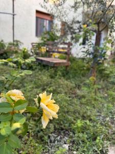 Fotografie z fotogalerie ubytování Ardjon House v destinaci Berat