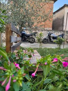 Vườn quanh Ardjon House +10 ảnh