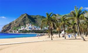 a beach with palm trees in front of a mountain at La Casa de Eloisa in Santa Cruz de Tenerife