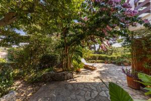 Zahrada ubytování Villa Lavanda