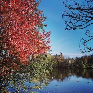 Φωτογραφία από το άλμπουμ του StudiÔlove σε Pierrefonds +15 φωτογραφίες