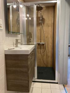 a bathroom with a sink and a shower at La Pénate in Pluduno