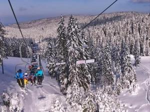 a group of people on a ski lift in the snow at Rogla - Chalet Mojca Pokrajculja in Zreče +37 photos