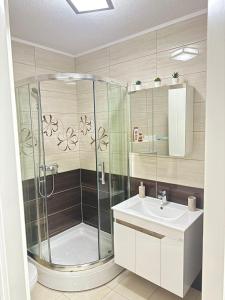 トゥズラにあるApartman SLEEP&JOY Tuzlaのシャワーと洗面台付きのバスルーム