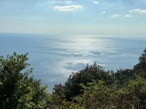 Afbeelding uit fotogalerij van Al molo 21 in La Spezia