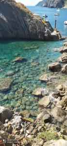 Afbeelding uit fotogalerij van Al molo 21 in La Spezia