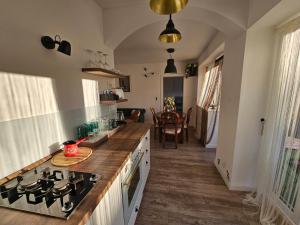 a kitchen with a stove and a counter top at apartman Frida in Zagreb