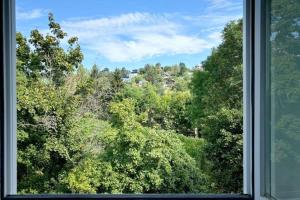 Příroda nedaleko vily + 9 fotografií