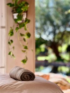 Gallery image of Guest Suite in Tuscan Farmhouse in Paarl