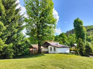 a house on a hill with a tree at Agroturystyka U Anny in Rzepedż