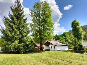 a house on a hill with two trees at Agroturystyka U Anny in Rzepedż +13 photos