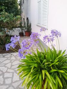 Vonkajšia záhrada v ubytovaní Apartman Lavanda sa bazenom i okućnicom 4*