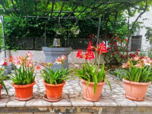 Vonkajšia záhrada v ubytovaní Apartman Lavanda sa bazenom i okućnicom 4*