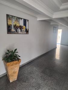 a white room with a potted plant and a picture on the wall at Apartamento com piscina! in Samaritá