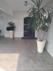 two potted plants on a tile floor in a hallway at Apartamento com piscina! in Samaritá