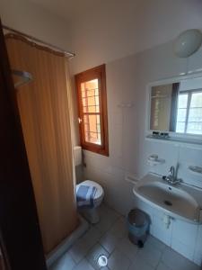a bathroom with a toilet and a sink and a shower at Panorama in Tsagarada +18 photos