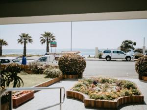 a view of the beach from a flower shop at Mouille Point Villa Capri in Cape Town