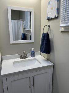 un bagno con un lavandino bianco e uno specchio di Cottage on Charles a Roxboro Altre 7 foto