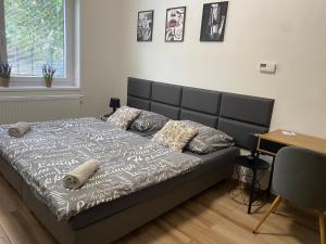 Postel nebo postele na pokoji v ubytování Černá Růže - Apartmán 7