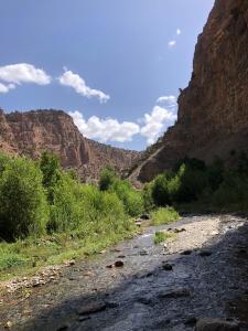 Foto dalla galleria di Gite Chez Brahim a Skoura