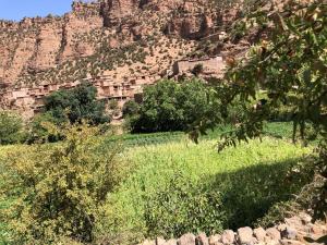 Foto dalla galleria di Gite Chez Brahim a Skoura