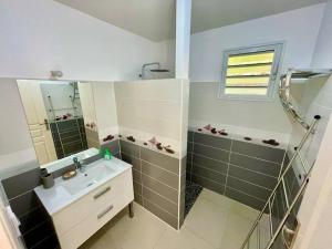 un bagno con lavandino, doccia e specchio di Magnifique villa 6 à 8 pers avec piscine - vue mer a Vieux-Habitants Altre 14 foto