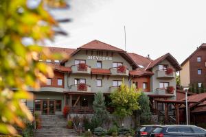 a hotel building with a staircase in front of it at Pensiunea Heveder in Praid