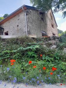 Κήπος έξω από το Gîtes Estivade à Lourdios