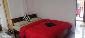 Postel nebo postele na pokoji v ubytování Isuru Homestay