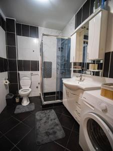 a bathroom with a toilet and a shower and a sink at Apartman Casa di Tasa in Veliko Gradište +19 photos