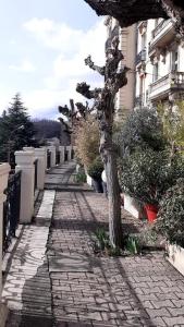 a tree on a brick sidewalk next to a building at Appt vue parc, avec terrasse in Châtel-Guyon