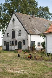 an old house with two chickens in front of it at Gastenverblijf Begheynhof in Biervliet