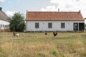 Ảnh trong thư viện ảnh của Gastenverblijf Begheynhof ở Biervliet