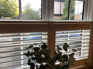 Stunning Private en-suite studio in Cobham陽台或露臺