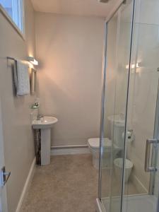 Gallery image of Phoenix Hotel in Chard