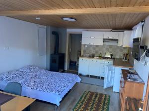 Η κουζίνα ή μικρή κουζίνα στο Studio Apartment +9 φωτογραφίες