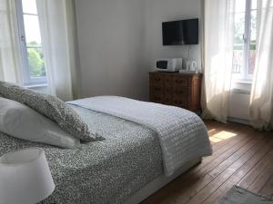 a bedroom with a bed and a television on a dresser at Chambre du Haras Cour Lozey in Sainte-Marguerite-des-Loges